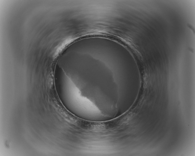 X0000102841363200808251146