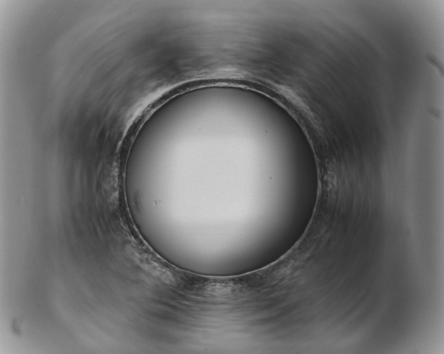 X0000102841364200808251146