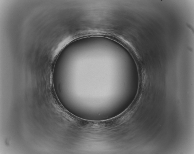 X0000102841365200808251146