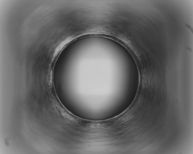 X0000102841366200808251146