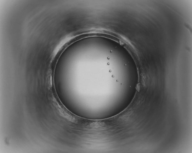 X0000102841368200808251146