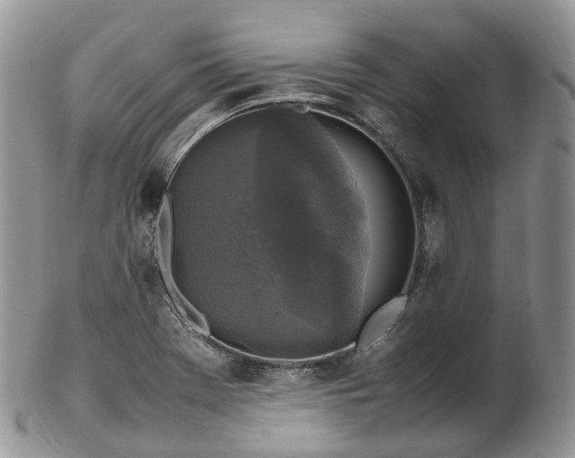 X0000102841369200808251146