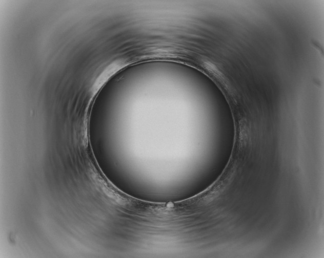 X0000102841370200808251146