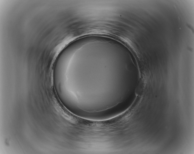 X0000102841371200808251146