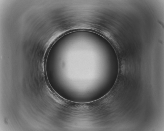 X0000102841372200808251146