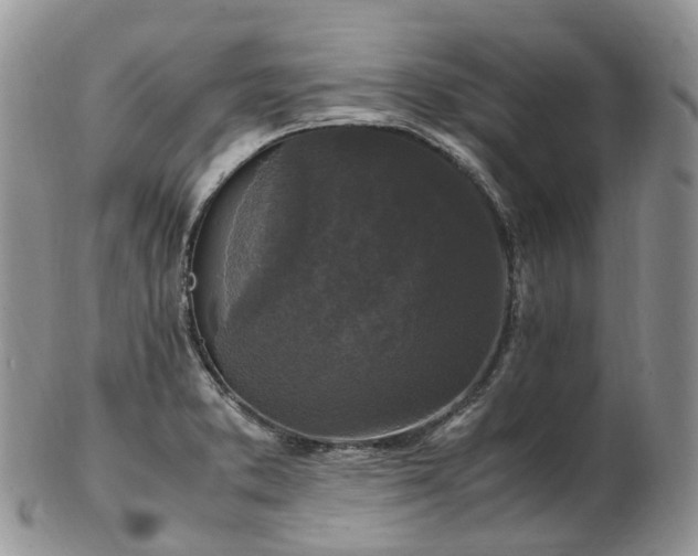 X0000102841373200808251146