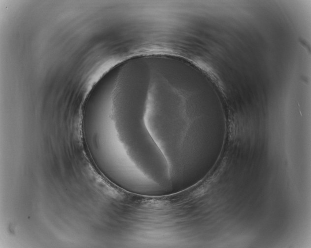 X0000102841374200808251146