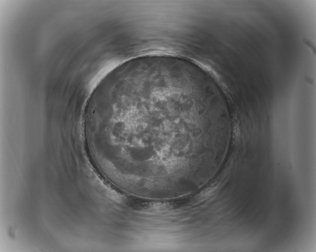 X0000102841375200808251146