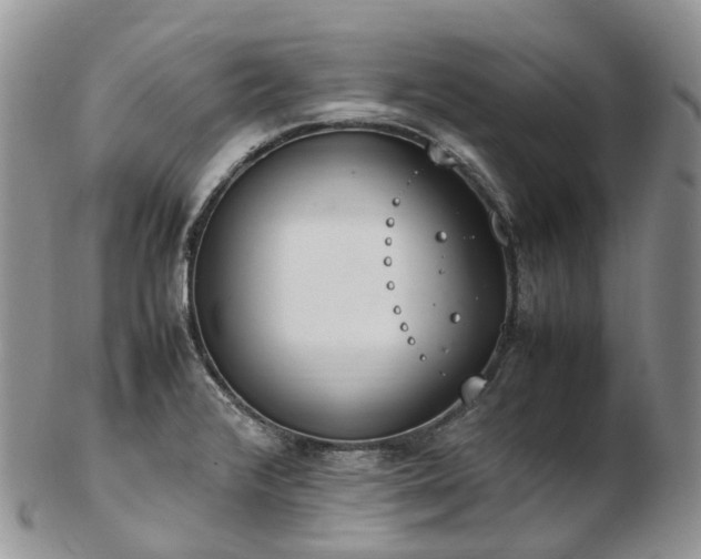 X0000102841376200808251146