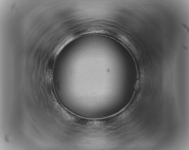 X0000102841377200808251146