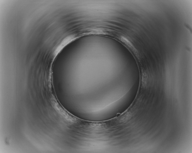 X0000102841378200808251146