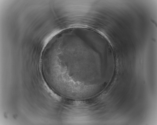 X0000102841379200808251146