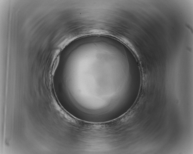 X0000102841381200808251146