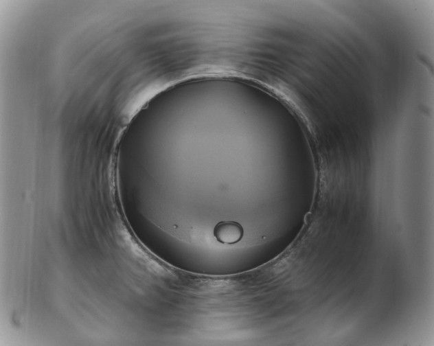 X0000102841382200808251146