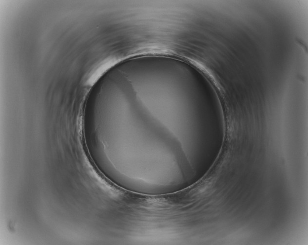 X0000102841383200808251146