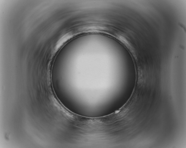 X0000102841384200808251146