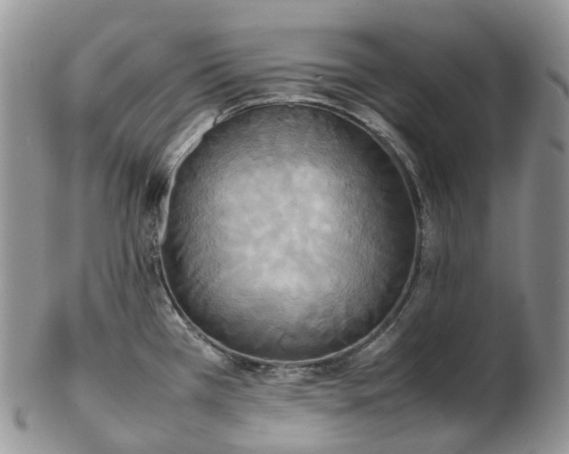 X0000102841385200808251146