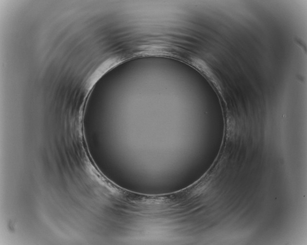 X0000102841386200808251146