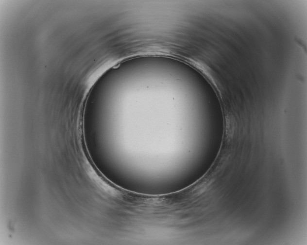 X0000102841387200808251146