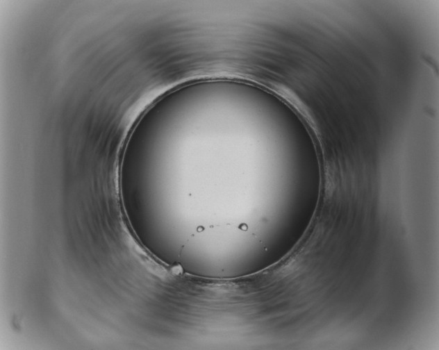 X0000102841388200808251146