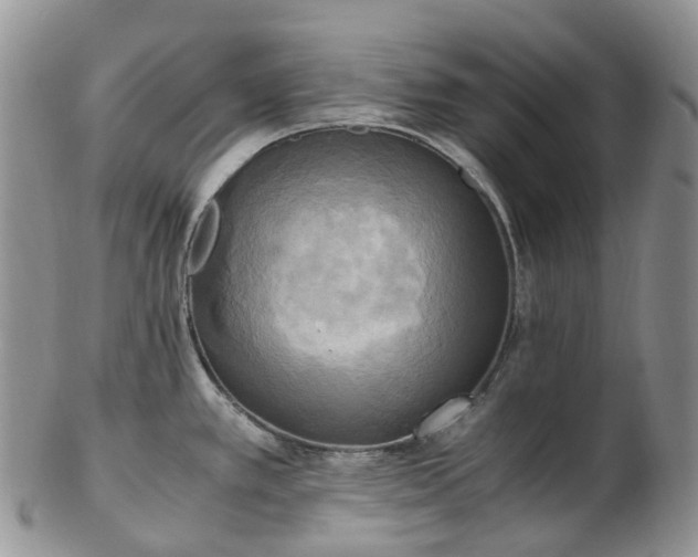 X0000102841389200808251146