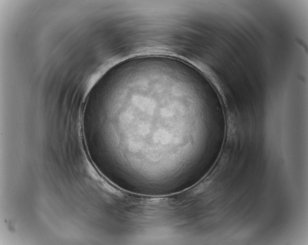 X0000102841390200808251146