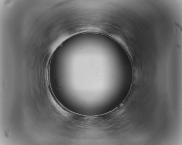 X0000102841391200808251146