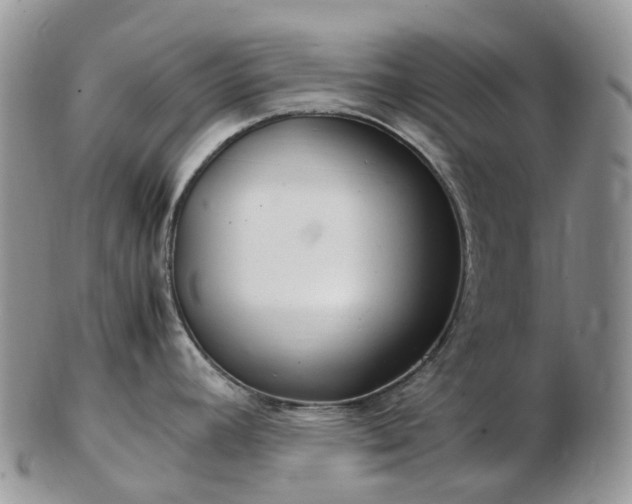 X0000102841392200808251146