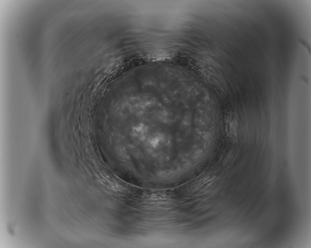 X0000102841393200808251145