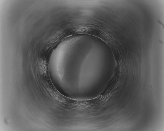 X0000102841394200808251145