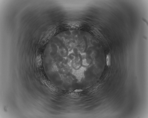 X0000102841395200808251145