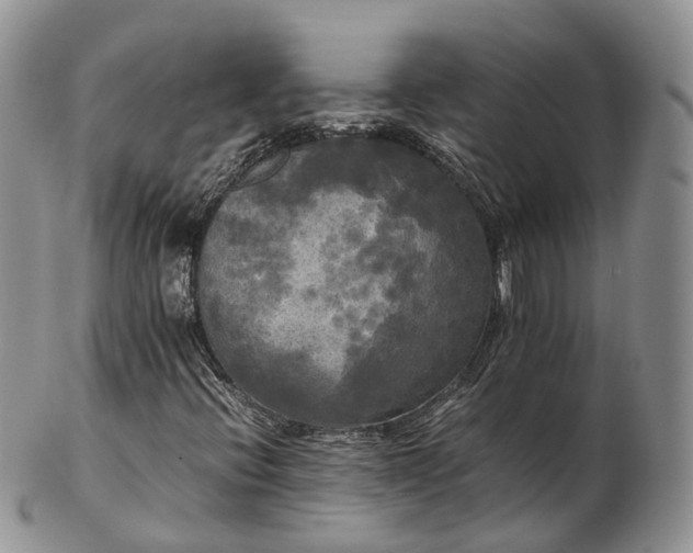 X0000102841396200808251145