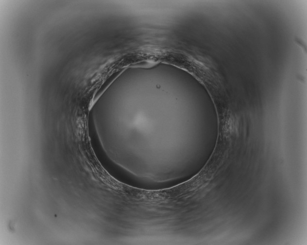 X0000102841397200808251145