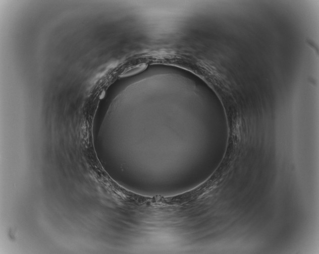 X0000102841398200808251145