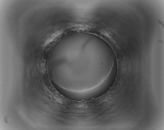 X0000102841399200808251145