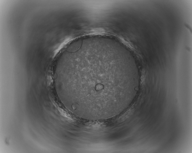 X0000102841400200808251145