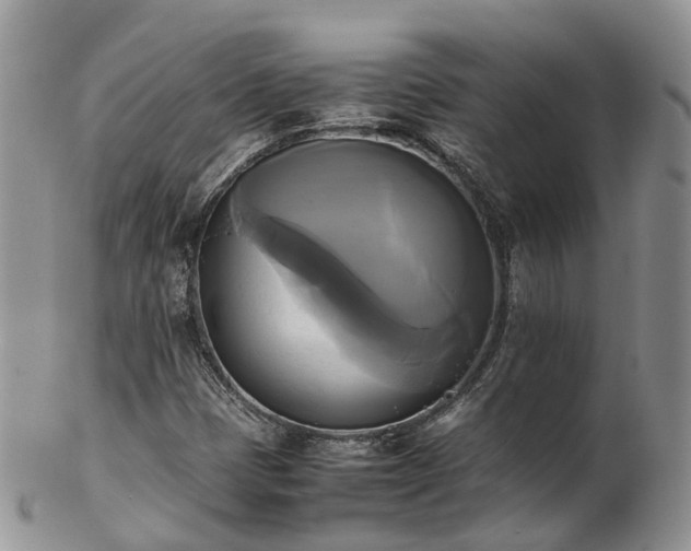 X0000102841401200808251146