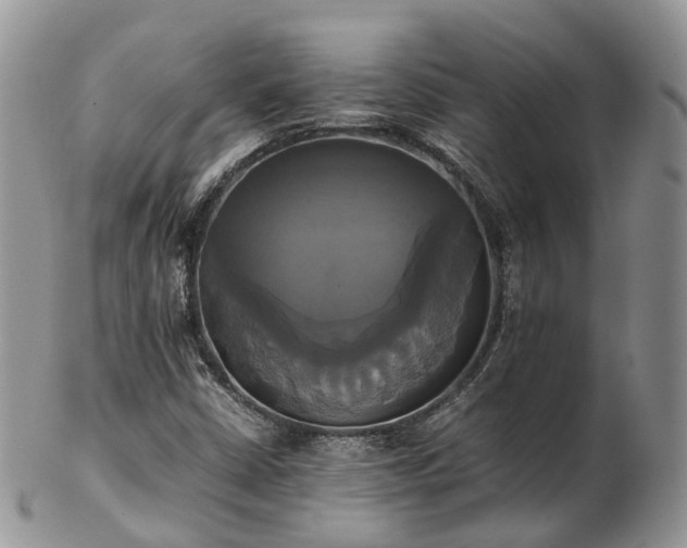 X0000102841402200808251146