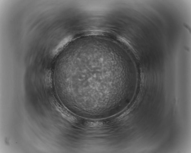 X0000102841403200808251146