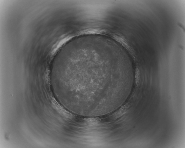 X0000102841404200808251146