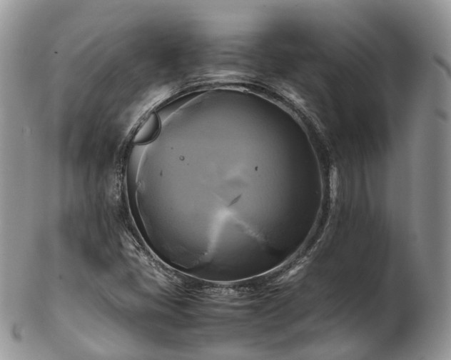 X0000102841405200808251146