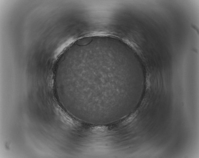 X0000102841406200808251146