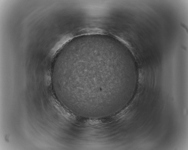 X0000102841407200808251146