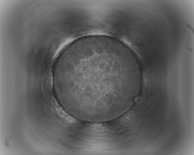 X0000102841408200808251146