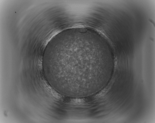 X0000102841409200808251146