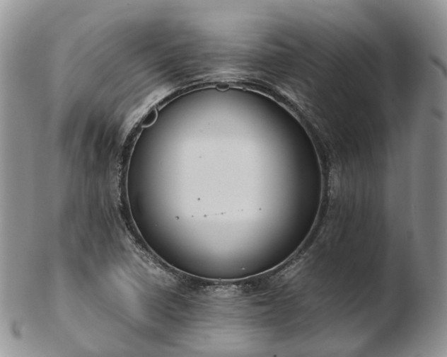 X0000102841410200808251146