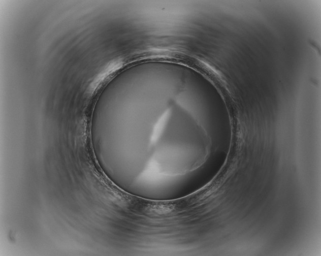 X0000102841411200808251146