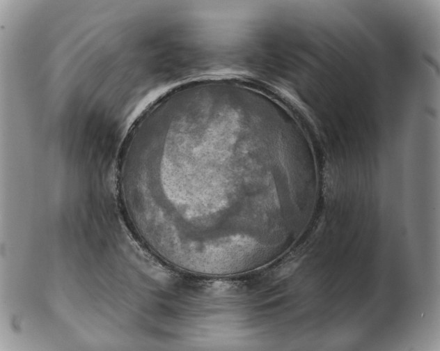 X0000102841412200808251146