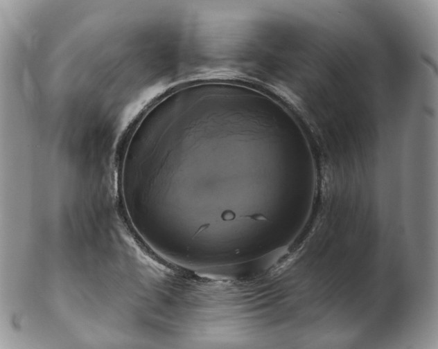 X0000102841414200808251146