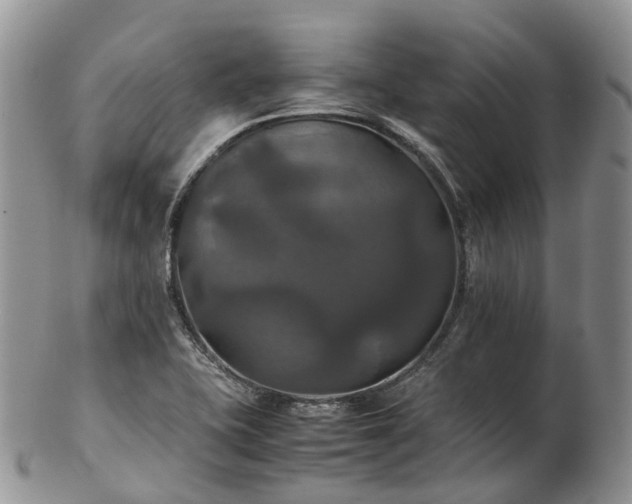 X0000102841415200808251146